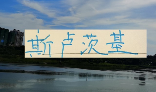 开云官网-不怕盖伊不进球 ！ 就怕这哥们在申花发飙！进塞内加尔国家队