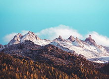 九游体育：开启你的体育世界新征程